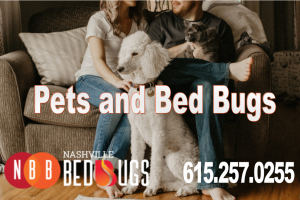 pets and bugs