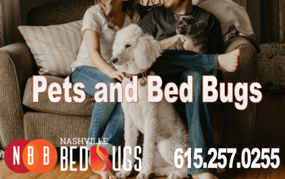 pets and bugs