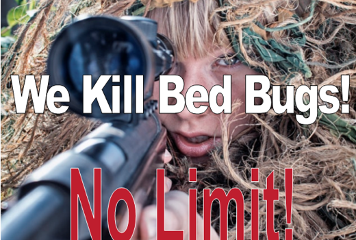We Kill Bed Bugs