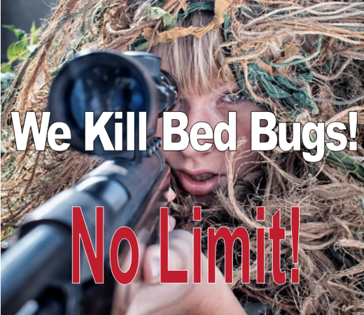 We Kill Bed Bugs