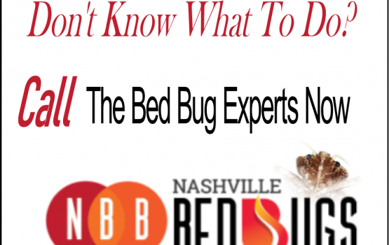 Got Bed Bugs