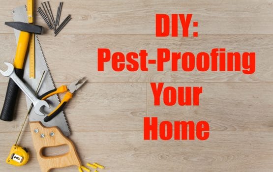 proofing | Nashville Bed Bugs