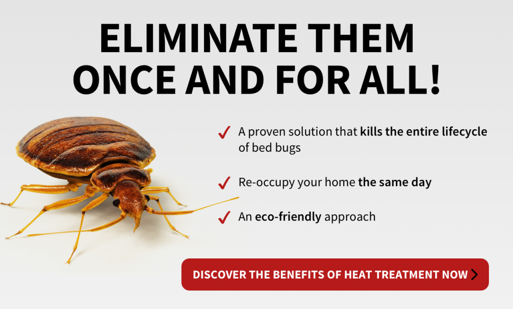 Columbus Bed Bug Removal