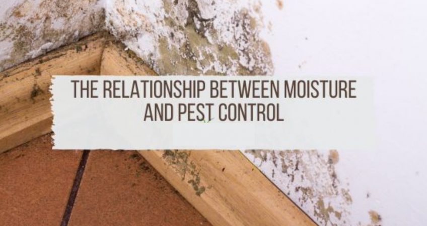 moisture and pest control